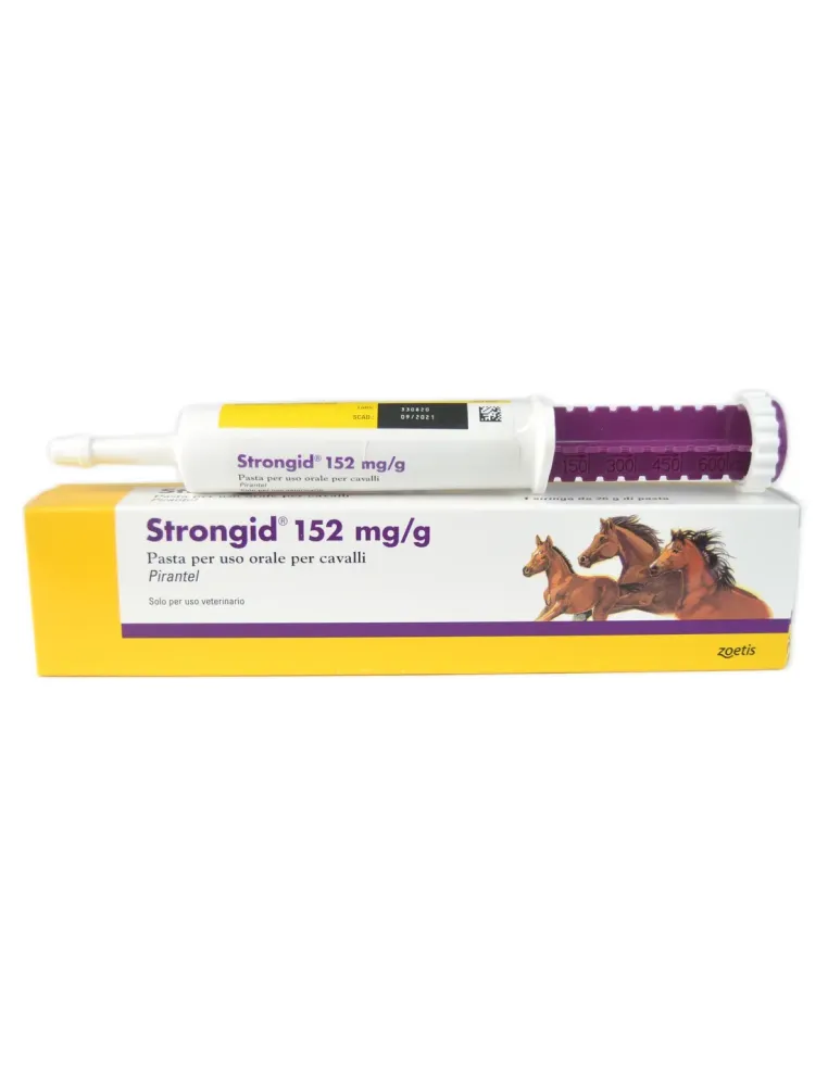Strongid pasta cavalli  