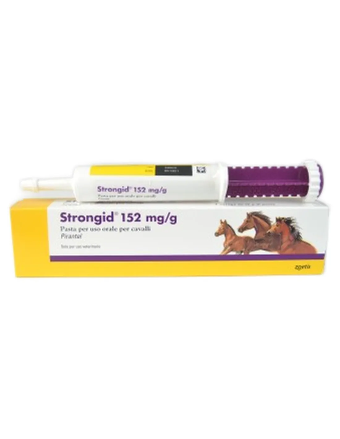 Strongid pasta cavalli  