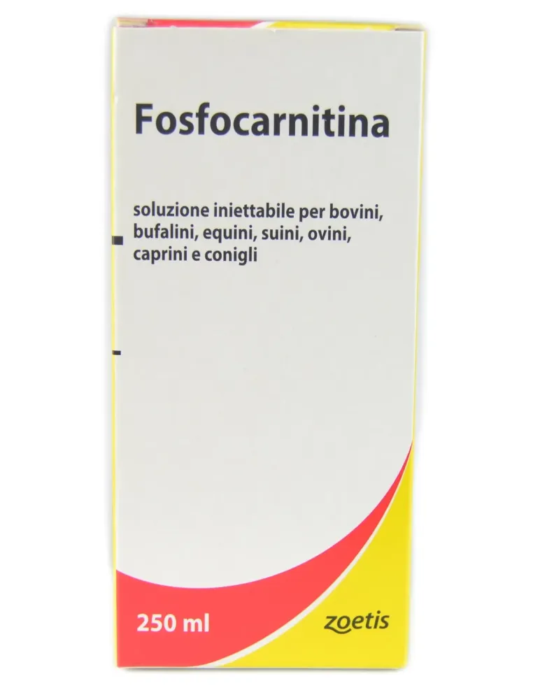 Fosfocarnitina 250 ml Zoetis  