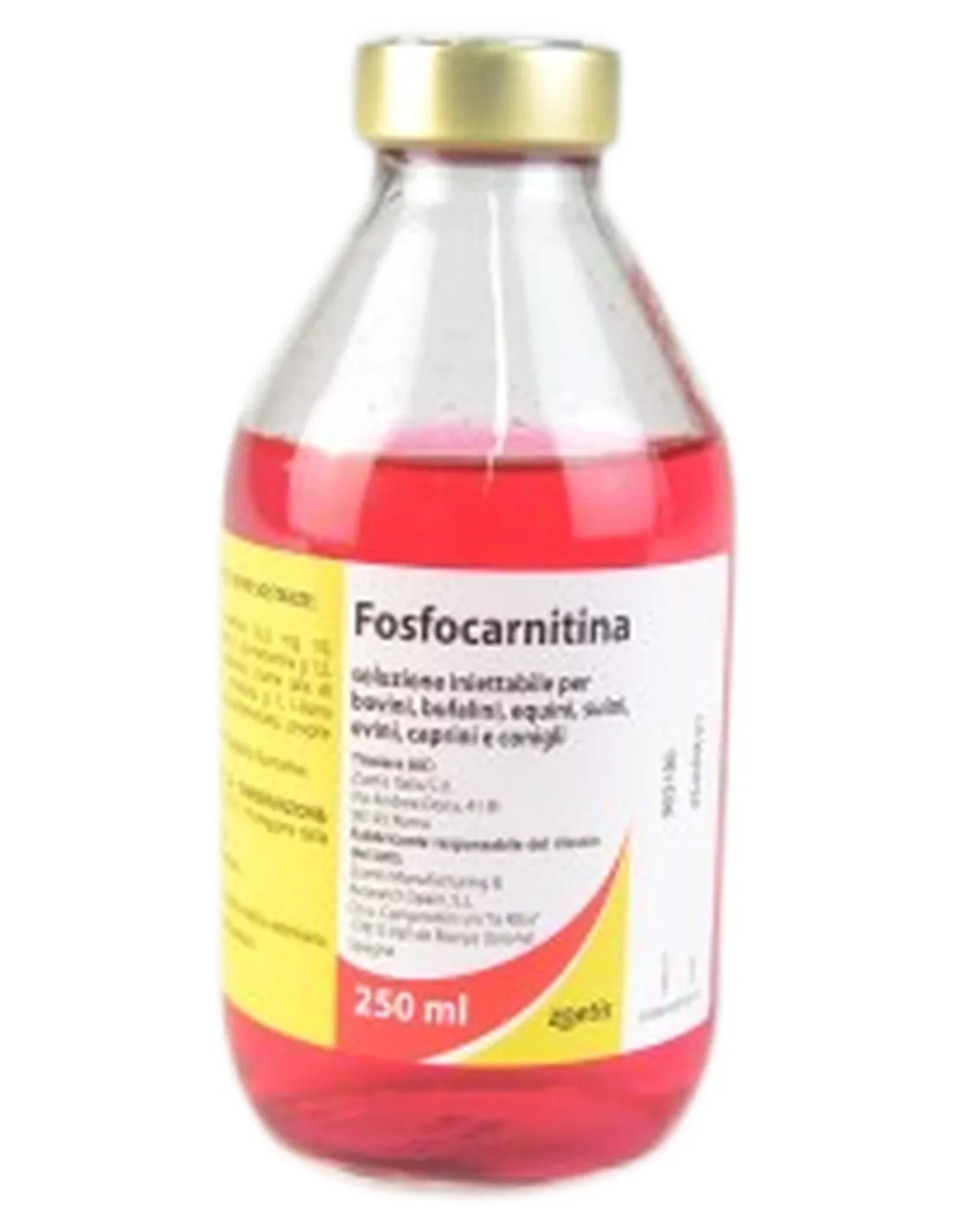 Fosfocarnitina 250 ml Zoetis  