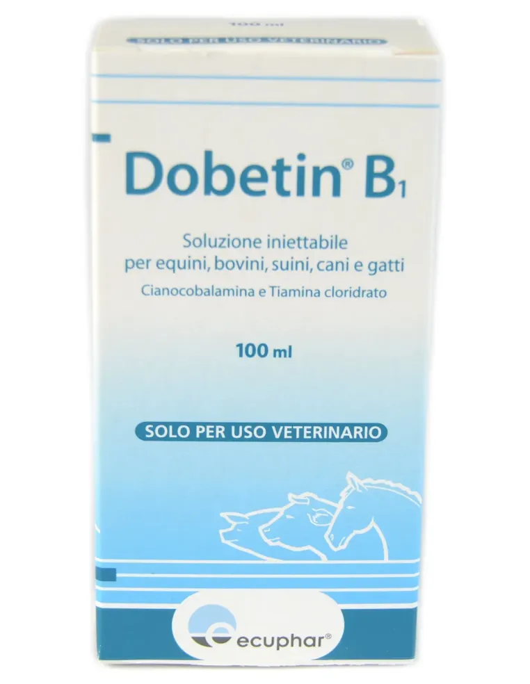 Dobetin B1 iniettabile 100 ml  