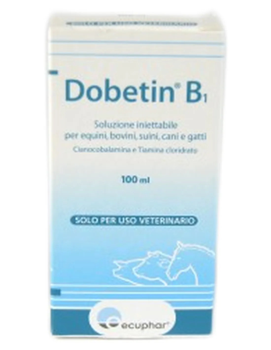 Dobetin B1 iniettabile 100 ml  