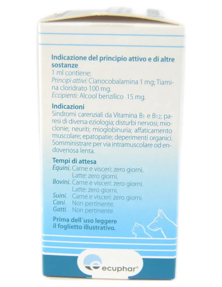 Dobetin B1 iniettabile 100 ml  