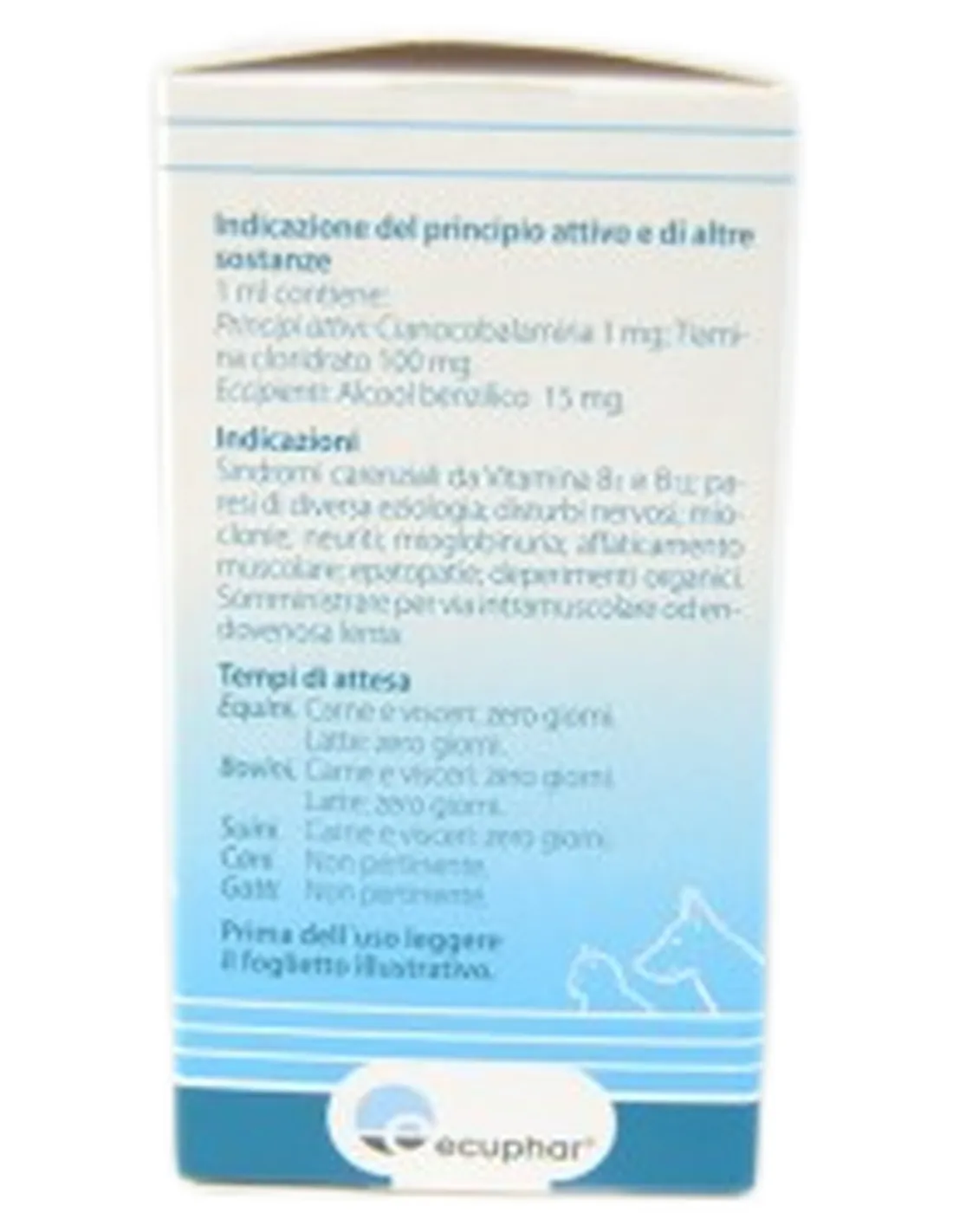 Dobetin B1 iniettabile 100 ml  