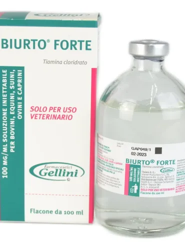 Biurto Forte iniettabile 100 ml  