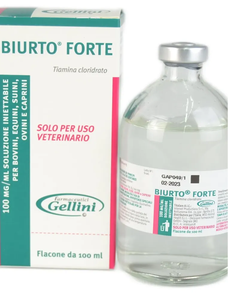 Biurto Forte iniettabile 100 ml  