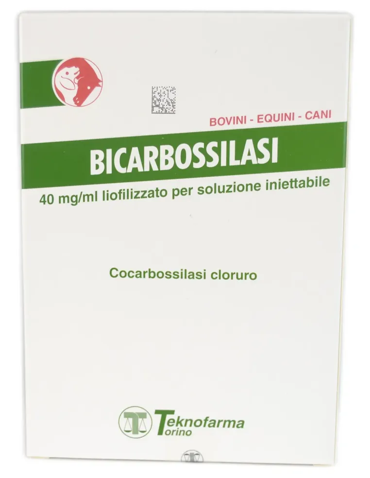 Bicarbossilasi 10 flaconi 10 ml  