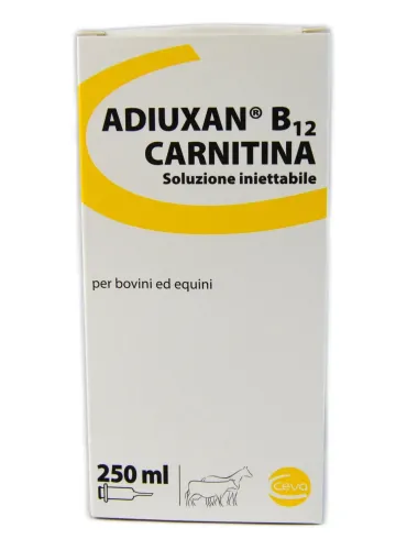 Adiuxan B12 Carnitina 250 ml  