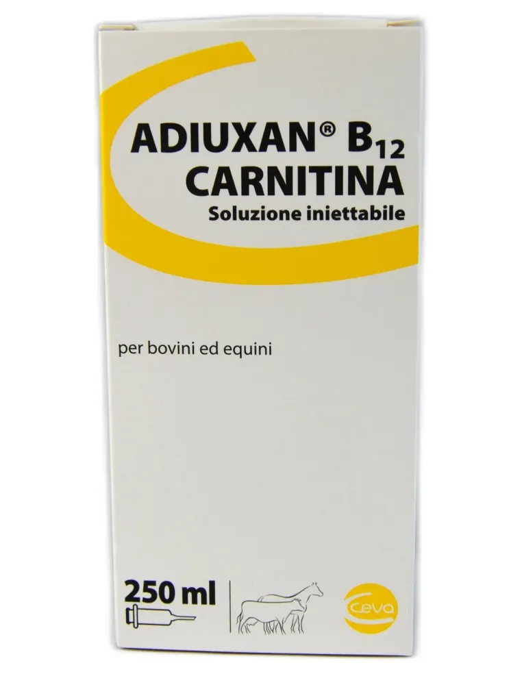Adiuxan B12 Carnitina 250 ml  