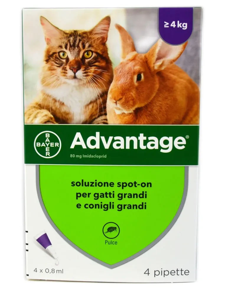 Advantage Spot-on 80 mg 4 pipette  