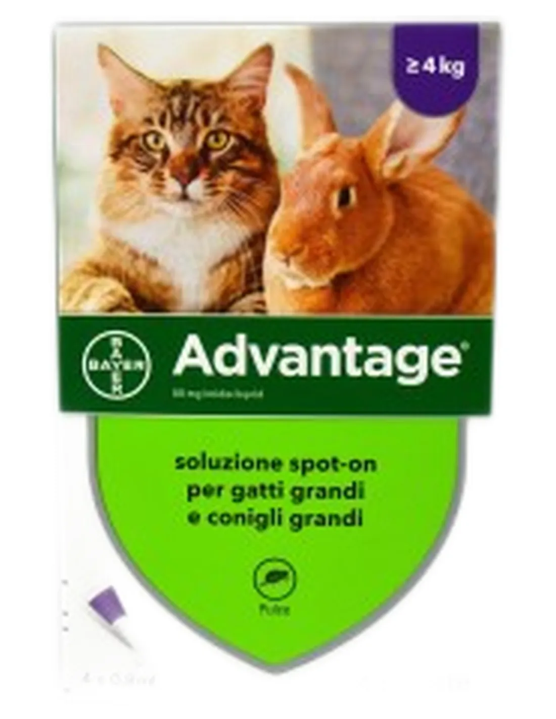 Advantage Spot-on 80 mg 4 pipette  