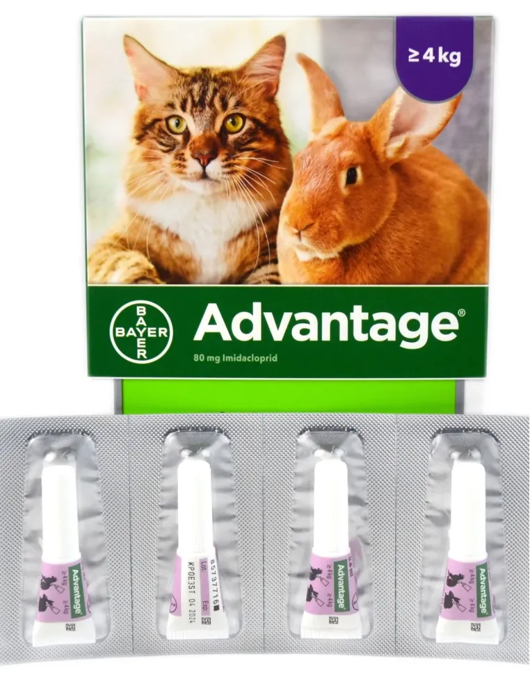Advantage Spot-on 80 mg 4 pipette  