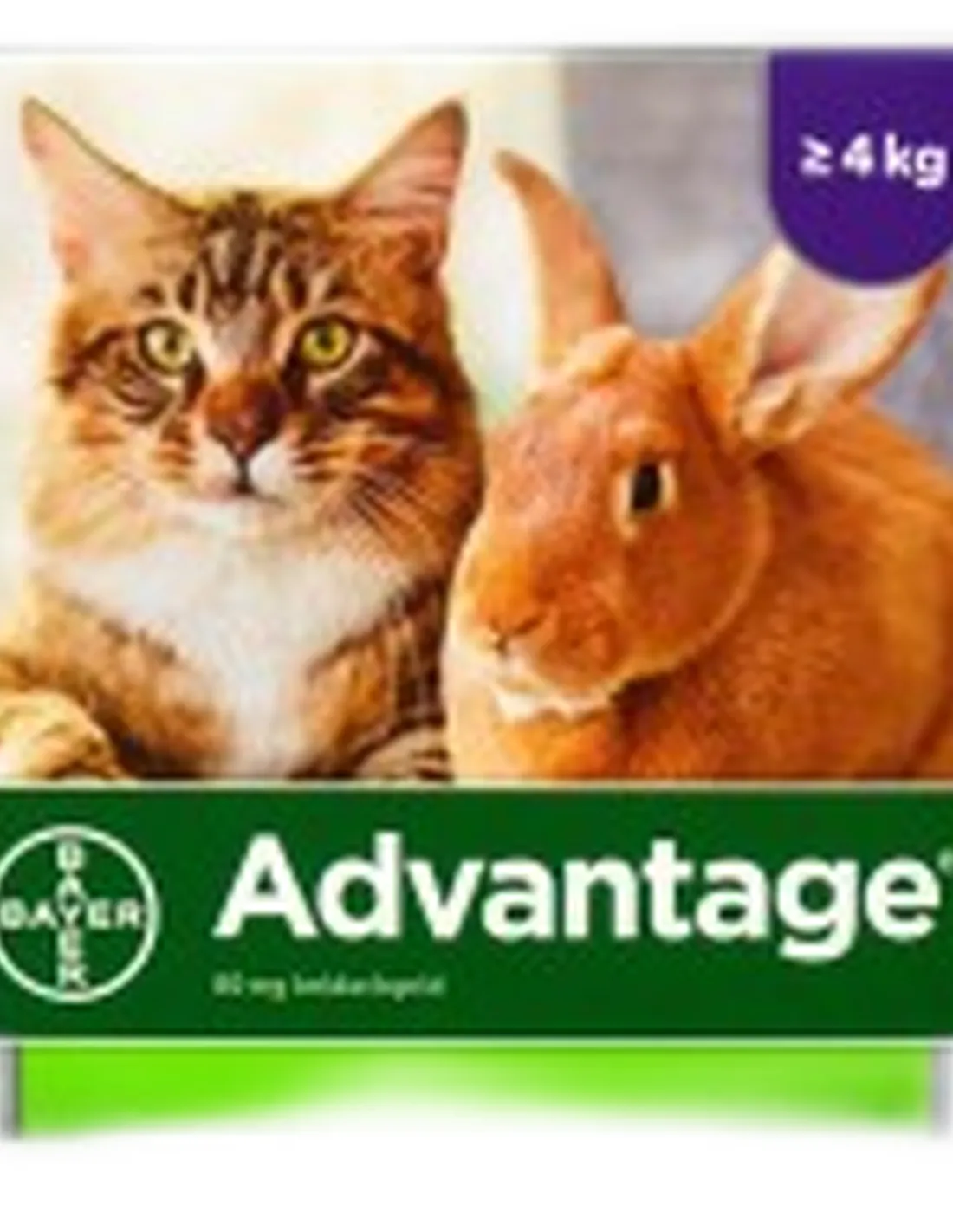 Advantage Spot-on 80 mg 4 pipette  