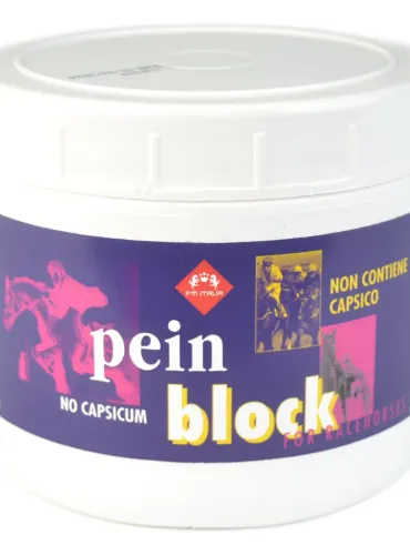 Pein Block 500 ml FM Italia