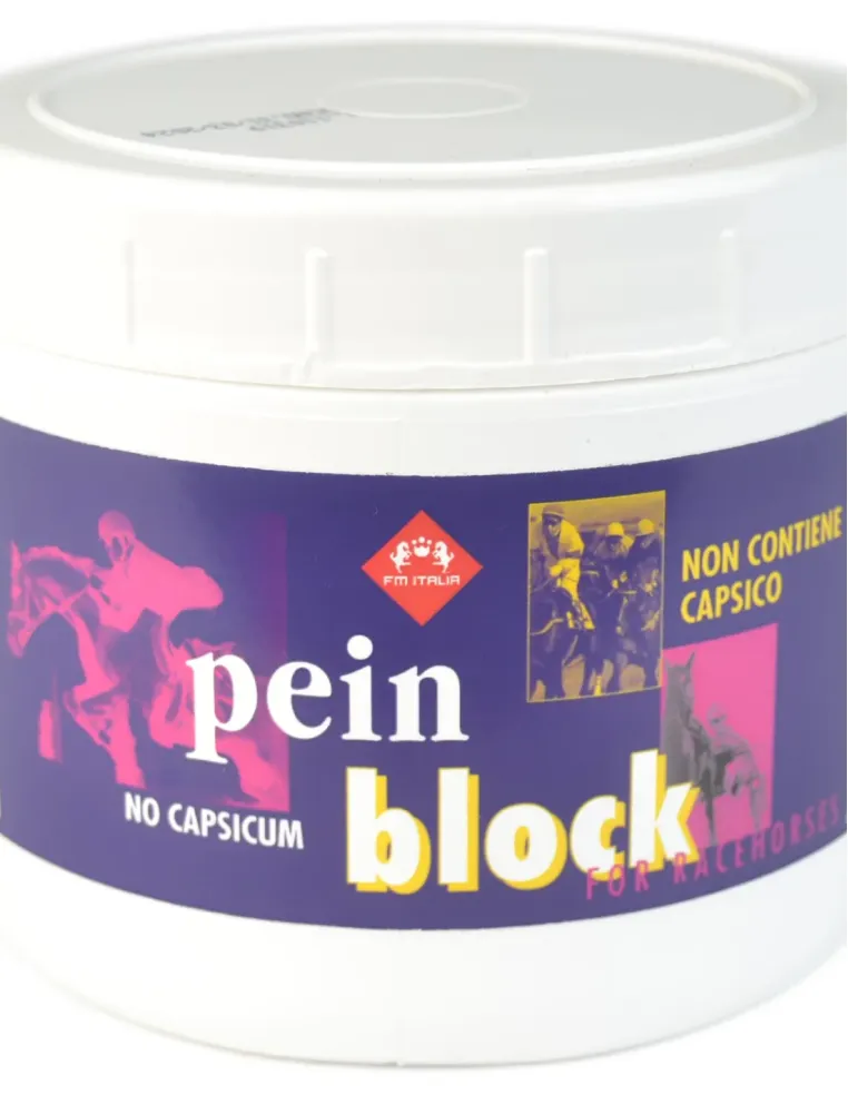 Pein Block 500 ml FM Italia  