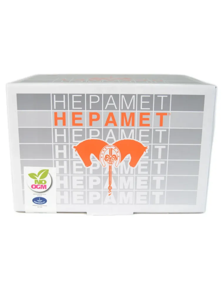Hepamet Acme sospensione orale 40 buste 25 g  