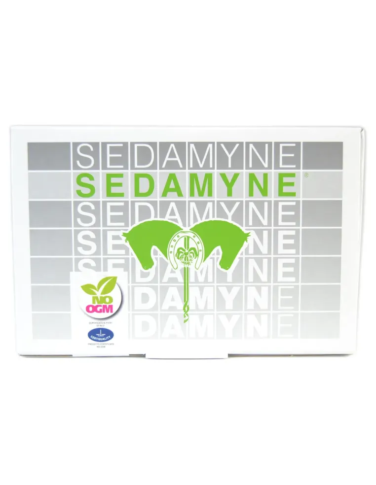 Sedamyne Acme sospensione orale 40 buste 25 g  