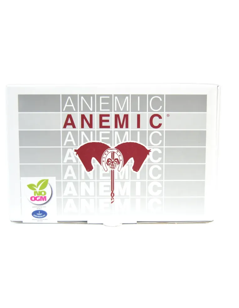 Anemic Acme sospensione orale 40 buste 25 g  