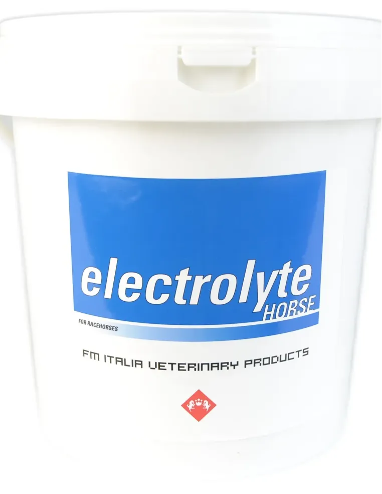 Electrolyte Horse FM Italia sospensione orale 3000 g  