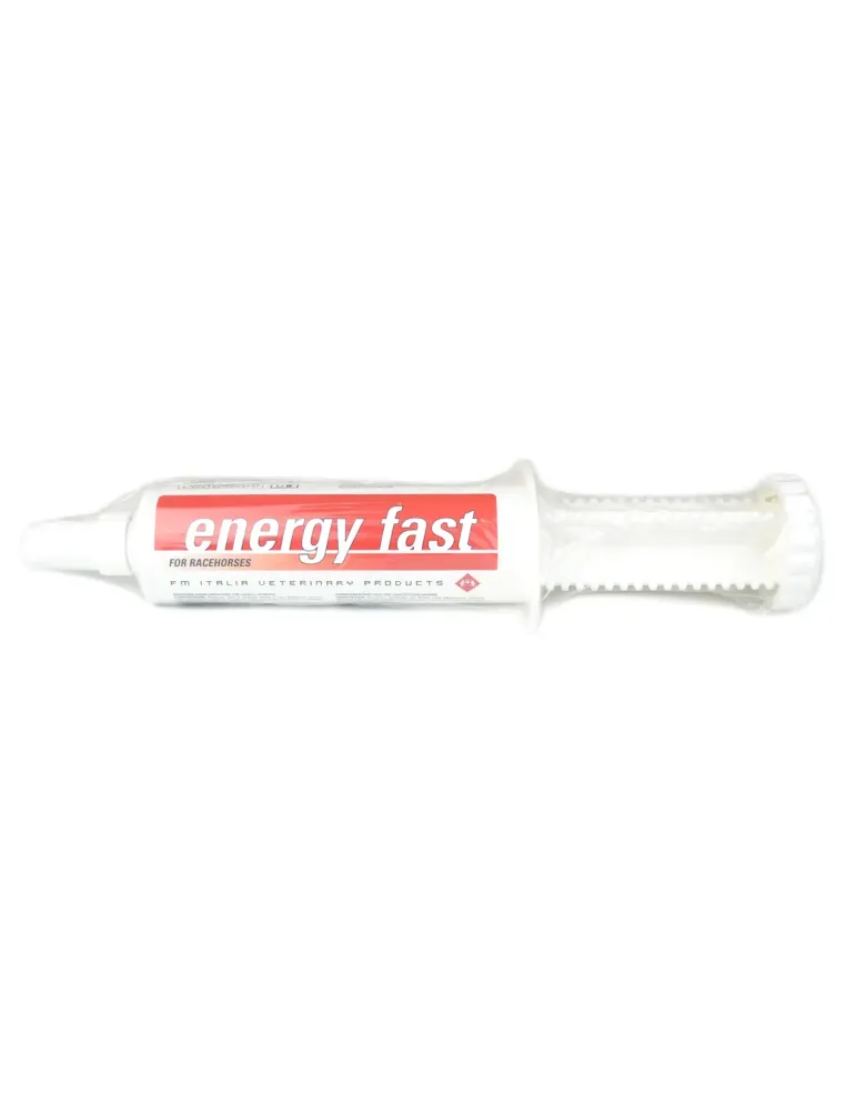 Energy Fast FM Italia sospensione orale siringa 80 g  