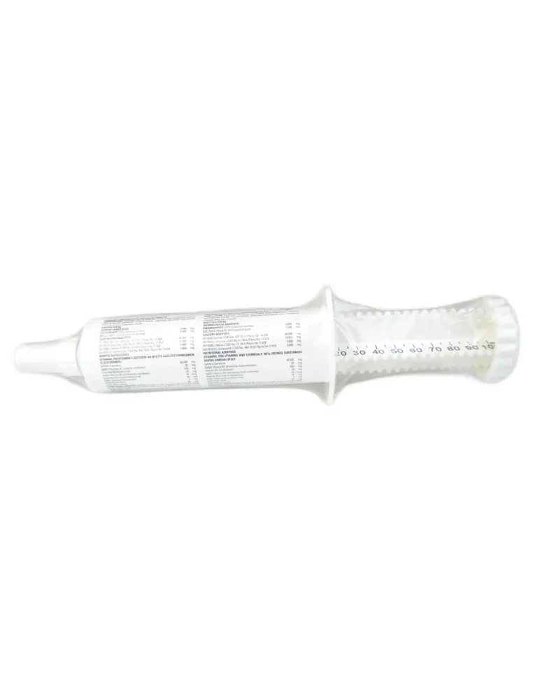 Energy Fast FM Italia sospensione orale siringa 80 g  