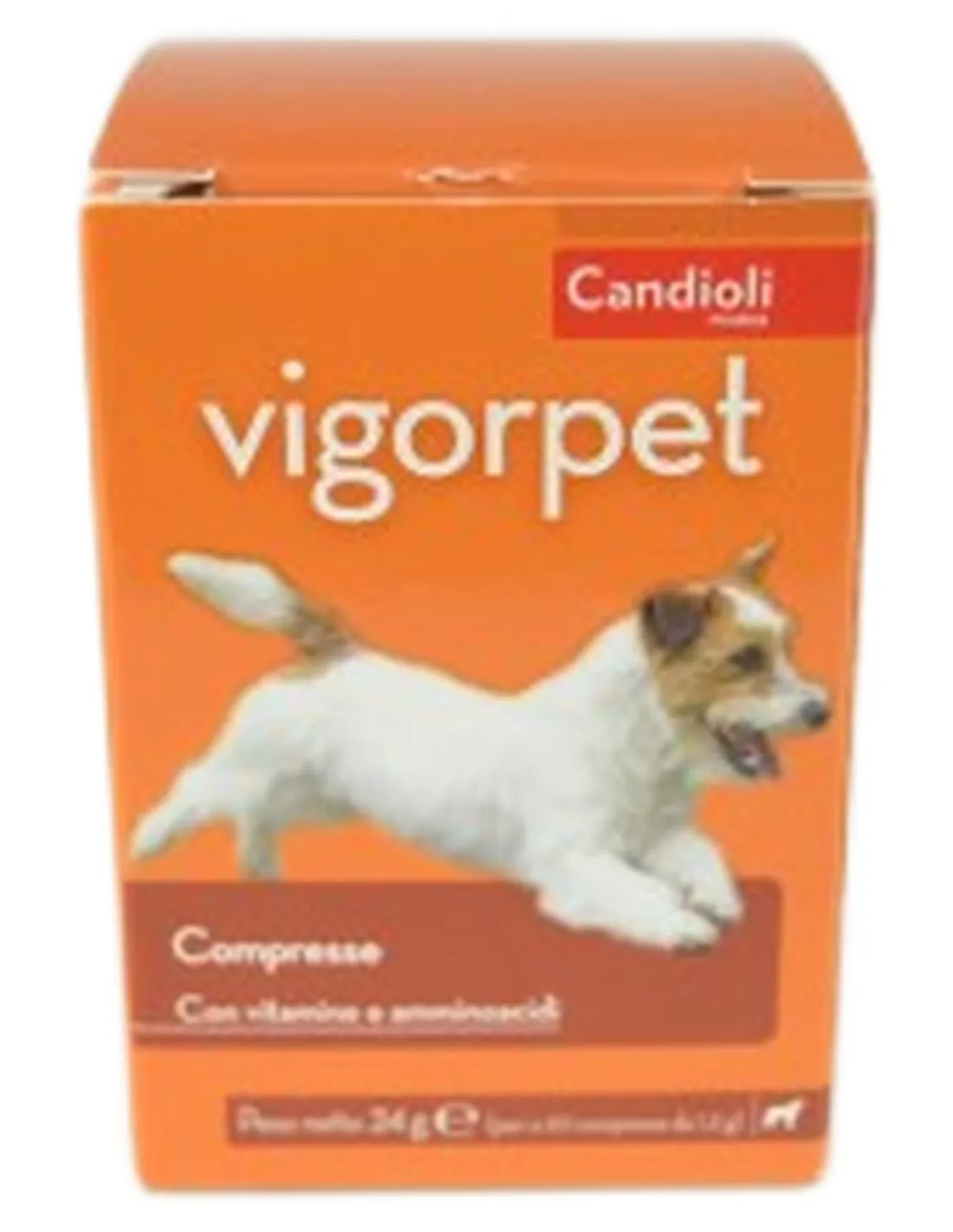 Vigorpet cani Candioli 20 compresse in barattolo  