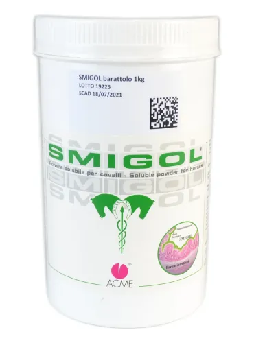 Smigol Acme sospensione orale barattolo 1 kg  