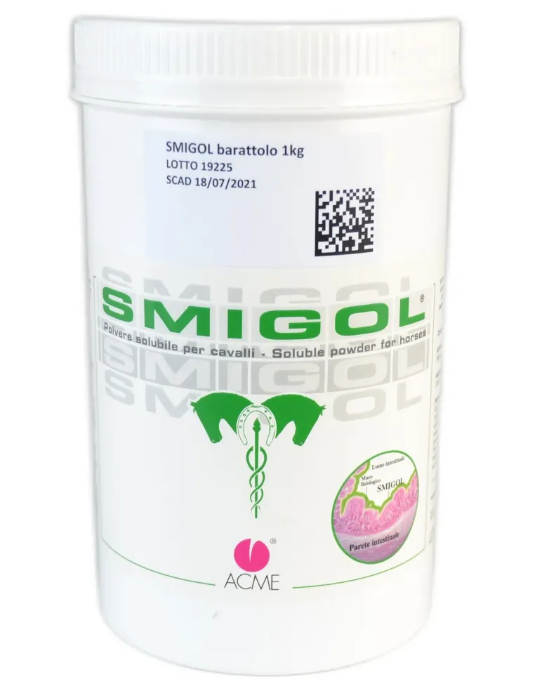 Smigol Acme sospensione orale barattolo 1 kg  