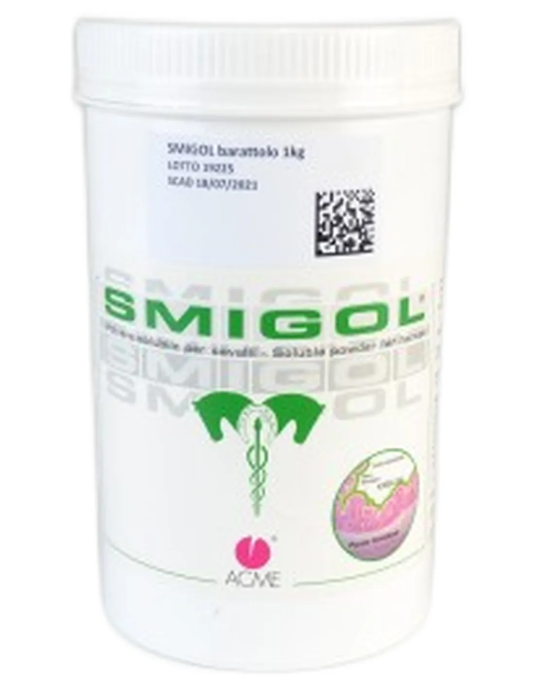 Smigol Acme sospensione orale barattolo 1 kg  