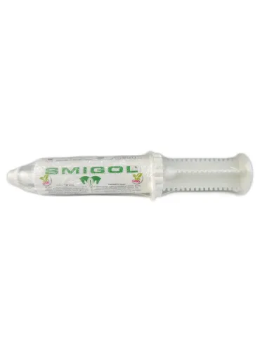 Smigol Acme sospensione orale siringa 100 g  