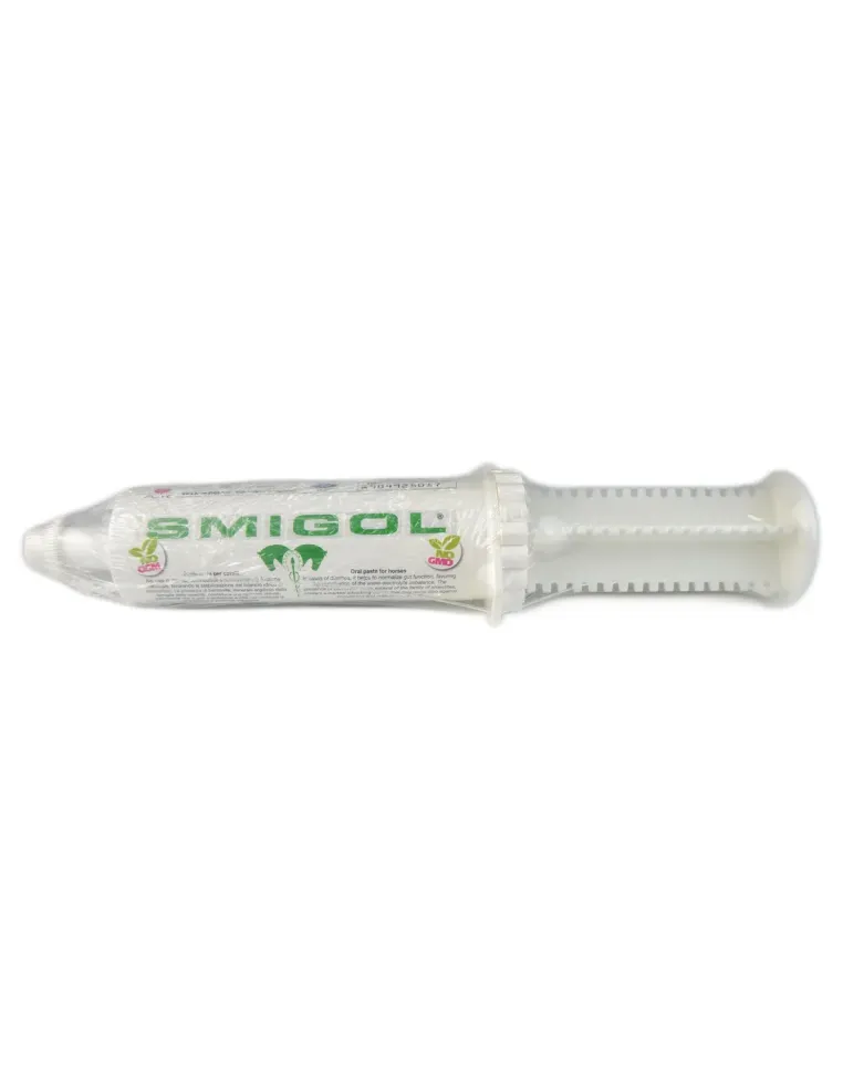 Smigol Acme sospensione orale siringa 100 g  