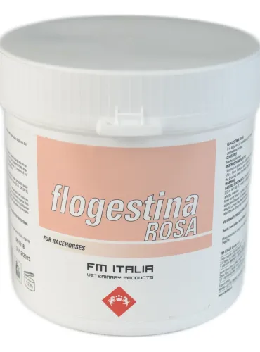 Flogestina Rosa FmItalia FM Italia vaso da 1000 g  