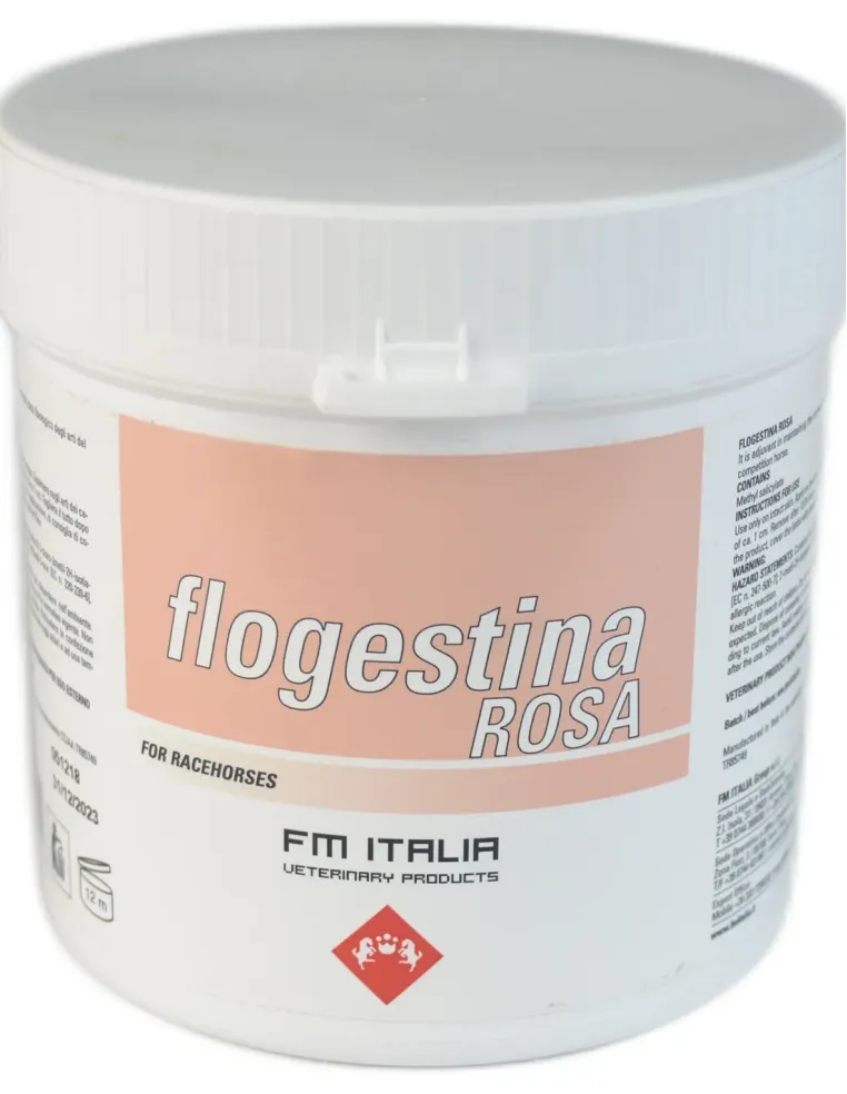 Flogestina Rosa FmItalia FM Italia vaso da 1000 g  