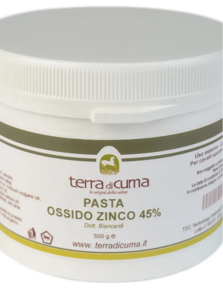 Pasta Ossido Di Zinco Terra di Cuma 500 g  