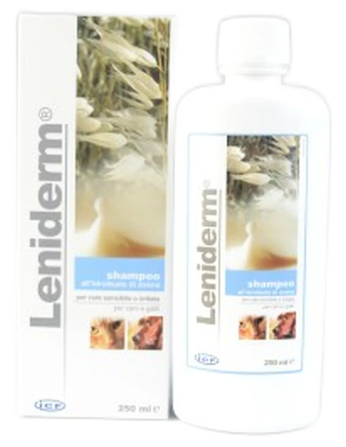 Leniderm shampoo 250 ml  