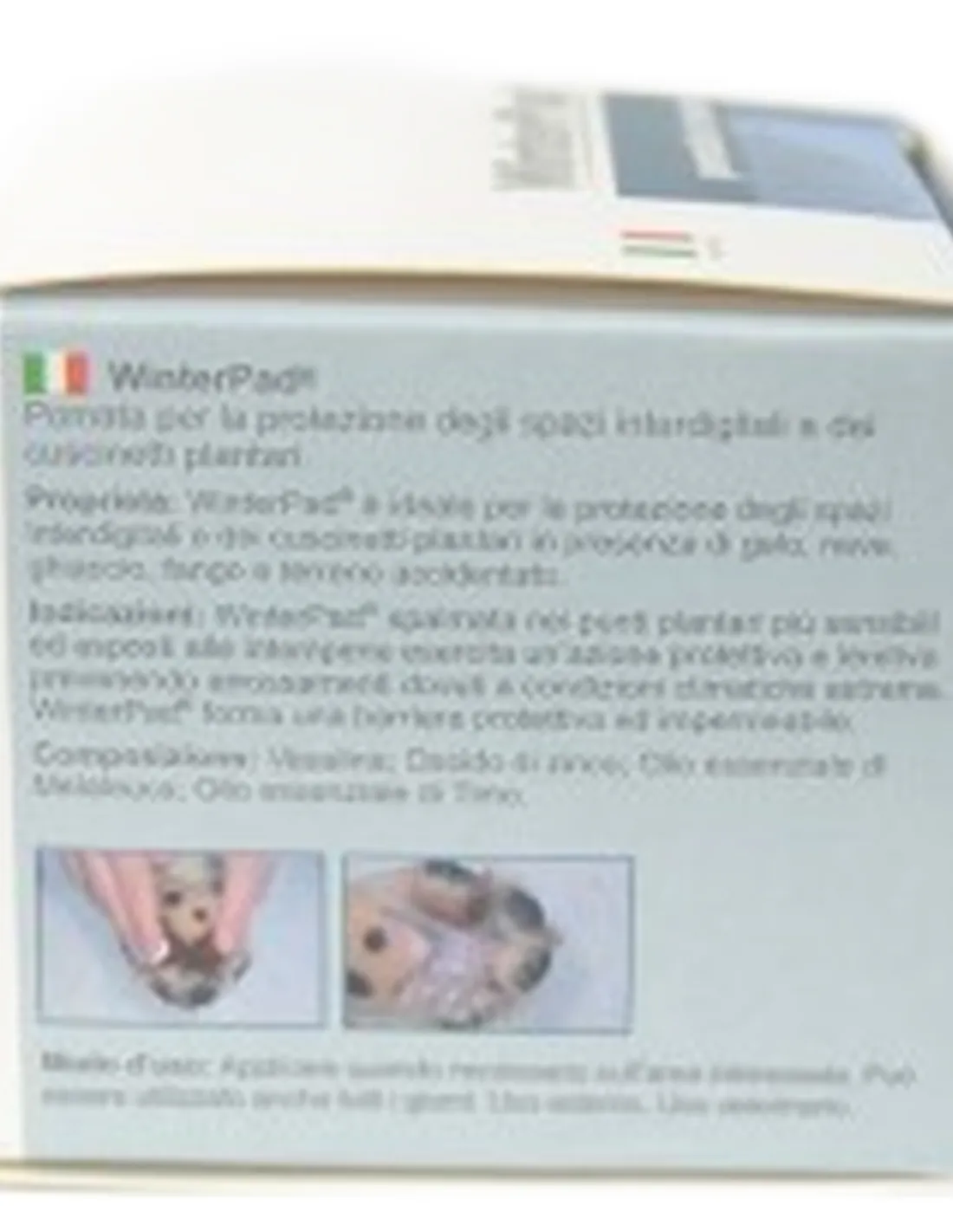 Winterpad ICF pomata 50 ml  