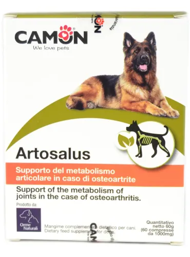 Artosalus 60 compresse  