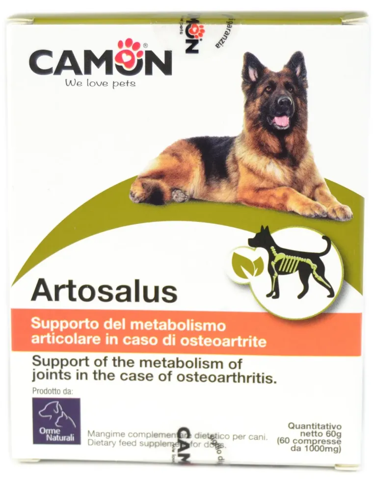 Artosalus 60 compresse  