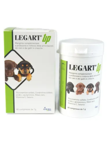 Legart Up 60 compresse