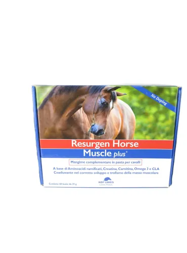 Resurgen Horse Muscle plus NBF sospensione orale 60 bustine da 35 g  