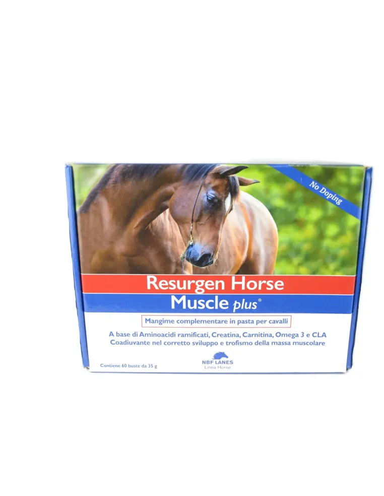 Resurgen Horse Muscle plus NBF sospensione orale 60 bustine da 35 g  