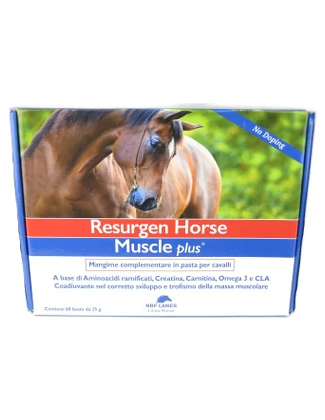 Resurgen Horse Muscle plus NBF sospensione orale 60 bustine da 35 g  