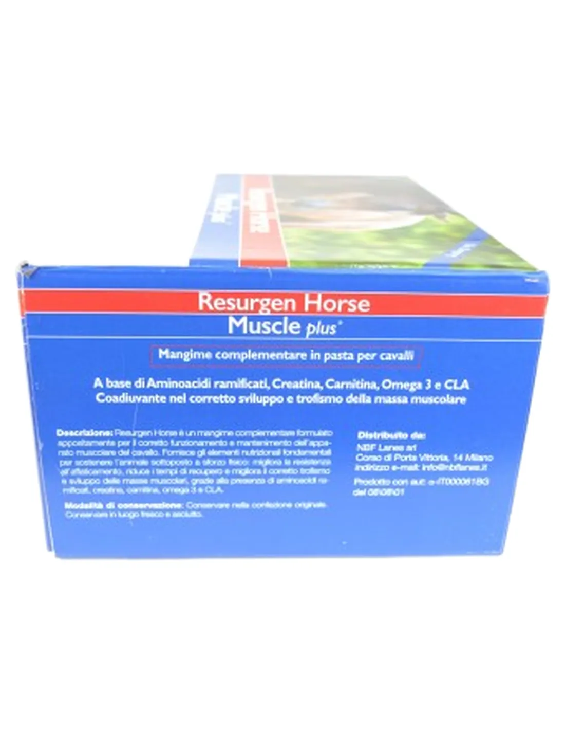 Resurgen Horse Muscle plus NBF sospensione orale 60 bustine da 35 g   Resurgen Horse Muscle plus NBF sospensione orale 60 bustine da 35 g