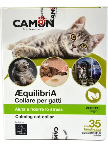 Aequilibria Vet Camon collare gatto  