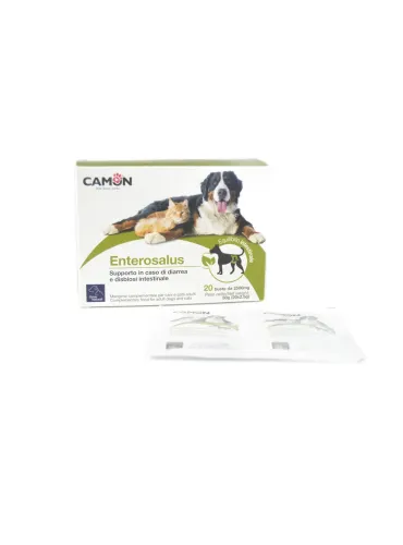 Enterosalus Camon sospensione orale 20 buste 2,5 kg  