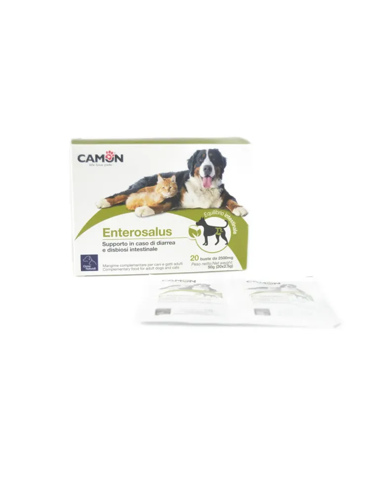 Enterosalus Camon sospensione orale 20 buste 2,5 kg  