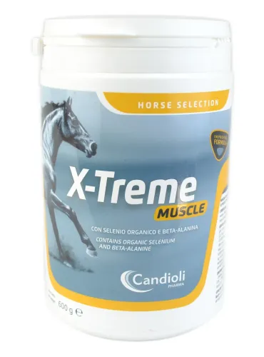 X-Treme Muscle Candioli sospensione orale polvere 600 g  