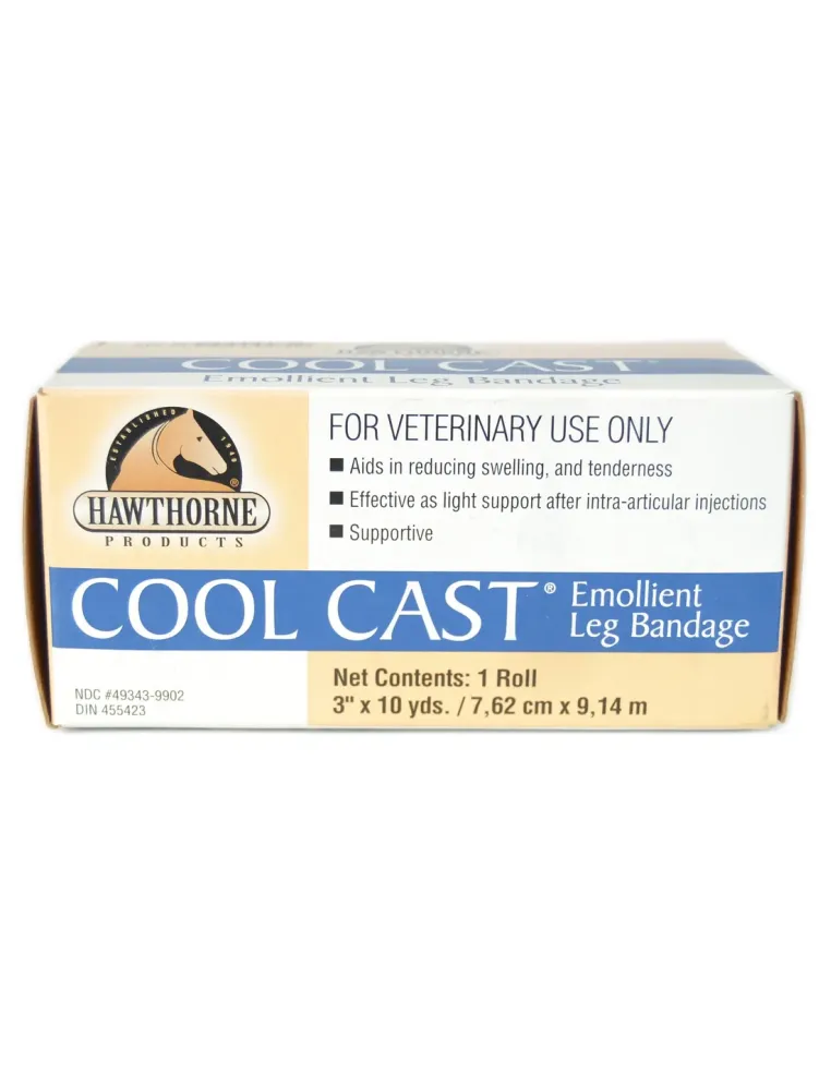 Cool Cast Hawthorne Equality Benda 7,5 cm  