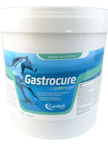 Gastrocure 2,6 Kg Candioli  