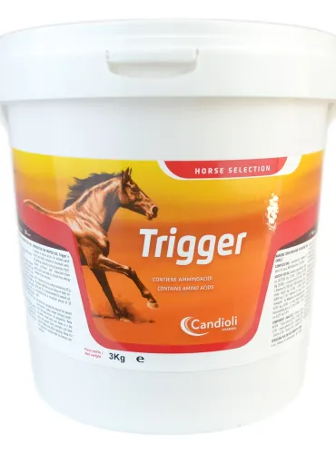 Trigger Candioli sospensione orale polvere 3 kg  